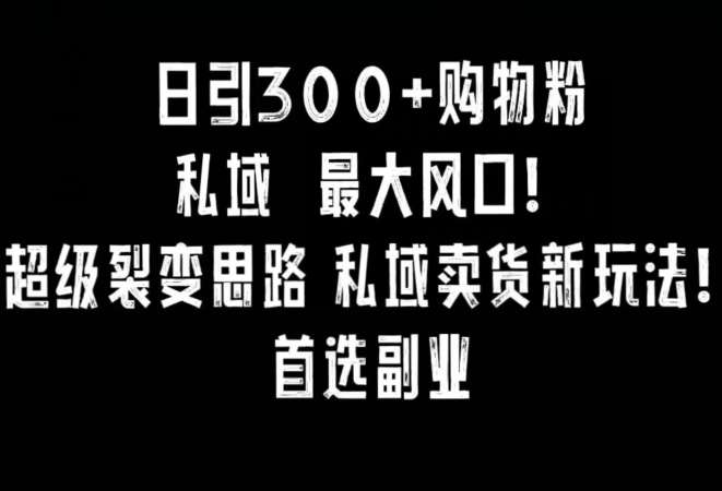 日引300+购物粉，超级裂变思路，私域卖货新玩法，小红书首选副业【揭秘】-问小徐资源库