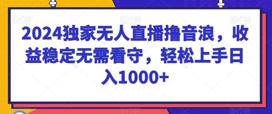 2024独家无人直播撸音浪，收益稳定无需看守，轻松上手日入1000+【揭秘】-问小徐资源库