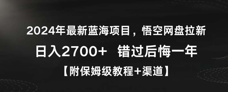2024年最新蓝海项目，悟空网盘拉新，日入2700+错过后悔一年【附保姆级教程+渠道】【揭秘】-问小徐资源库