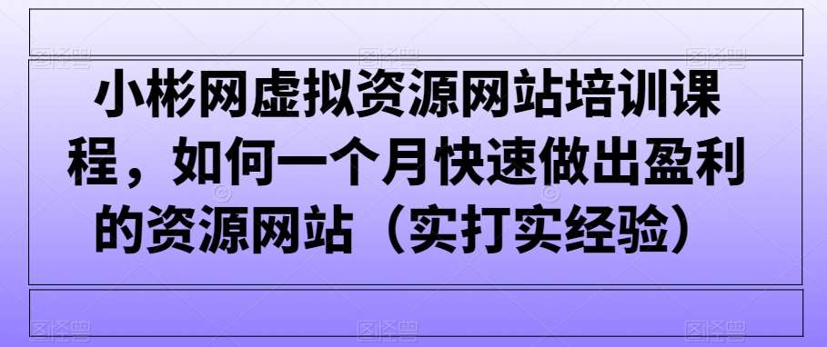 小彬网虚拟资源网站培训课程，如何一个月快速做出盈利的资源网站（实打实经验）-问小徐资源库