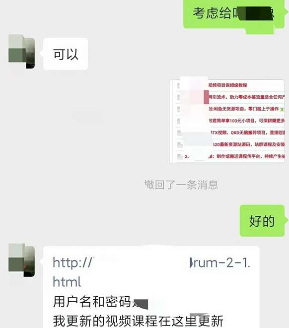 图片[2]-小彬网虚拟资源网站培训课程，如何一个月快速做出盈利的资源网站（实打实经验）-问小徐资源库