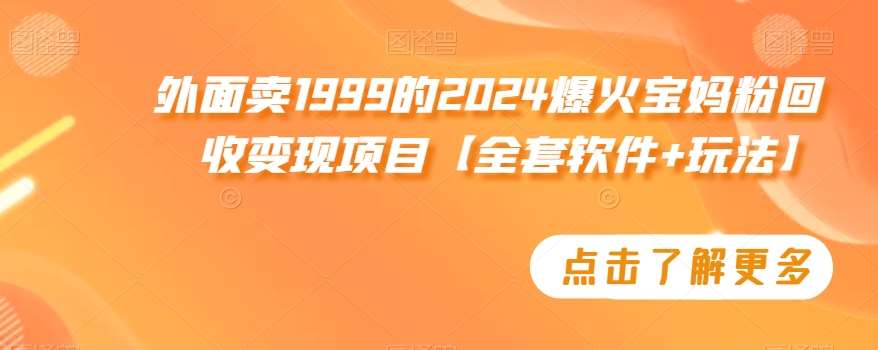 外面卖1999的2024爆火宝妈粉回收变现项目【全套软件+玩法】【揭秘】-问小徐资源库