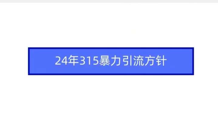 24年315暴力引流方针-问小徐资源库