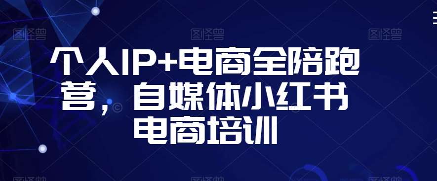 个人IP+电商全陪跑营，自媒体小红书电商培训-问小徐资源库