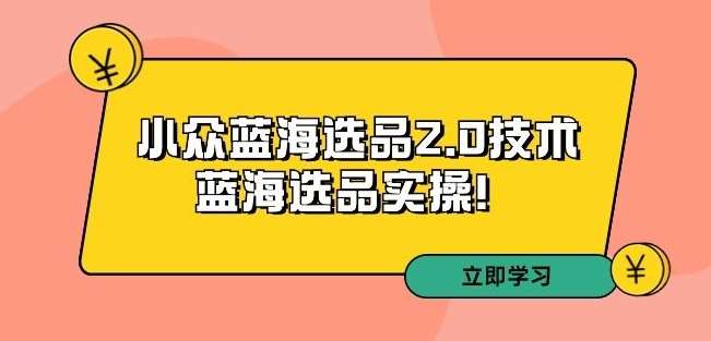 拼多多培训第33期：小众蓝海选品2.0技术-蓝海选品实操！-问小徐资源库
