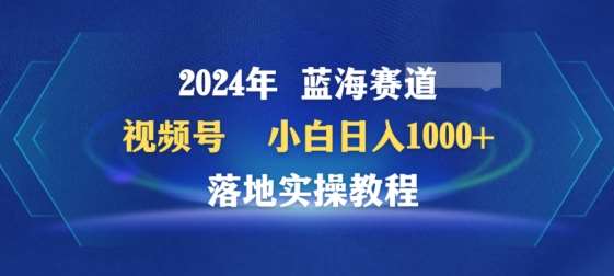 2024年视频号蓝海赛道百家讲坛，小白日入1000+，落地实操教程【揭秘】-问小徐资源库