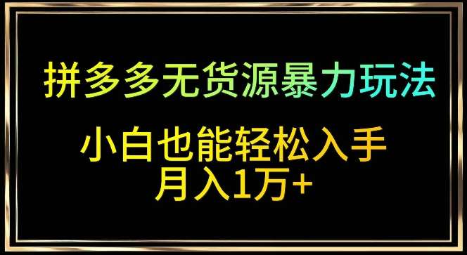 拼多多无货源暴力玩法，全程干货，小白也能轻松入手，月入1万+【揭秘】-问小徐资源库