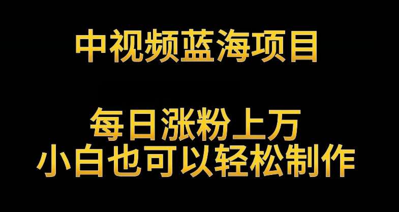 中视频蓝海项目，解读英雄人物生平，每日涨粉上万，小白也可以轻松制作，月入过万不是梦【揭秘】-问小徐资源库