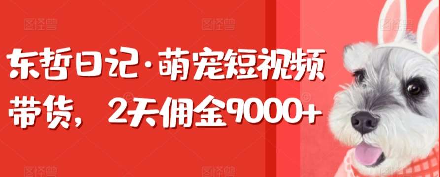 东哲日记·萌宠短视频带货，2天佣金9000+-问小徐资源库