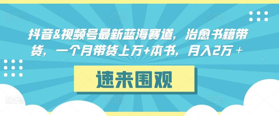 抖音&视频号最新蓝海赛道，治愈书籍带货，一个月带货上万+本书，月入2万＋【揭秘】-问小徐资源库