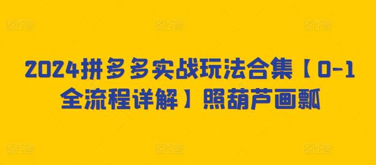 2024拼多多实战玩法合集【0-1全流程详解】照葫芦画瓢-问小徐资源库