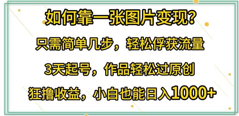 如何靠一张图片变现?只需简单几步，轻松俘获流量，3天起号，作品轻松过原创【揭秘】-问小徐资源库