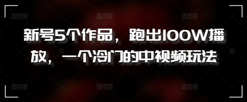 新号5个作品，跑出100W播放，一个冷门的中视频玩法【揭秘】-问小徐资源库