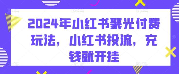2024年小红书聚光付费玩法，小红书投流，充钱就开挂-问小徐资源库