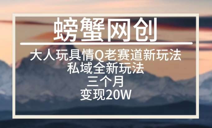大人玩具情Q用品赛道私域全新玩法，三个月变现20W，老项目新思路【揭秘】-问小徐资源库
