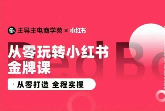 王导主·小红书电商运营实操课，​从零打造  全程实操-问小徐资源库