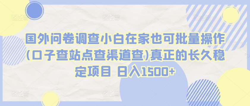国外问卷调查小白在家也可批量操作(口子查站点查渠道查)真正的长久稳定项目 日入1500+【揭秘】-问小徐资源库