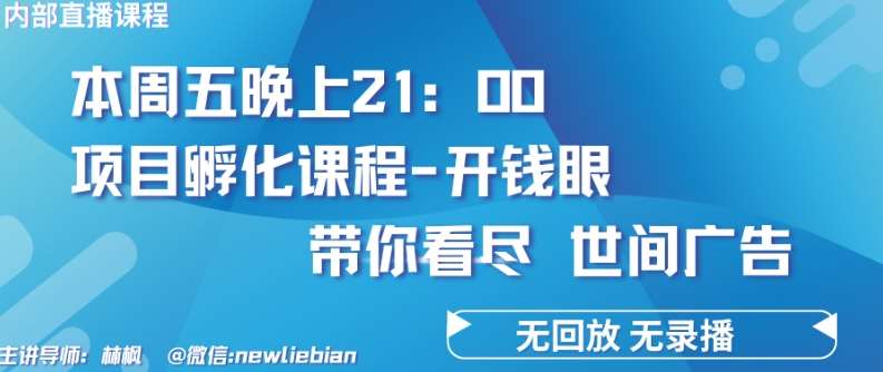 4.26日内部回放课程《项目孵化-开钱眼》赚钱的底层逻辑【揭秘】-问小徐资源库