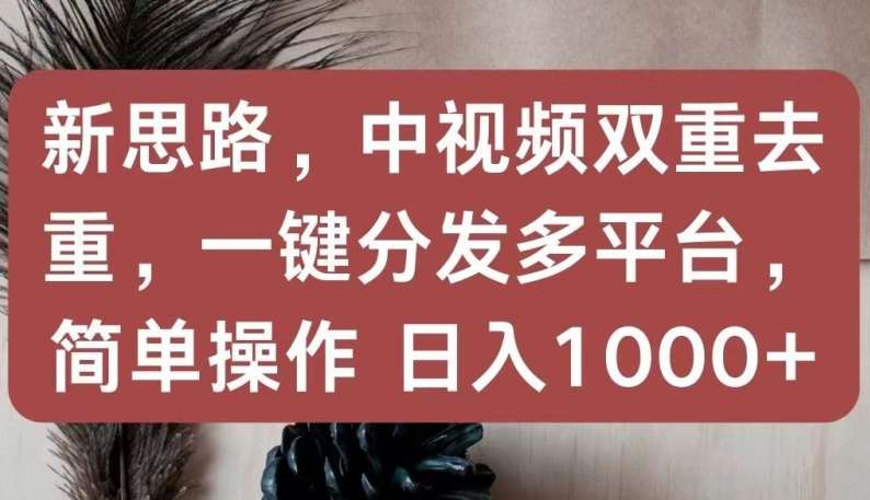 新思路，中视频双重去重，一键分发多平台，简单操作，日入1000+【揭秘】-问小徐资源库