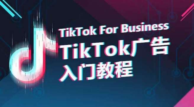 TikTok广告入门教程，从0到1掌握TikTok投放的全流程-问小徐资源库