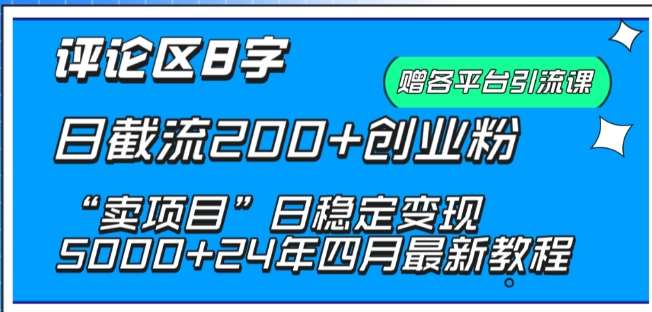 抖音评论区8字日截流200+创业粉 “卖项目”日稳定变现5000+【揭秘】-问小徐资源库