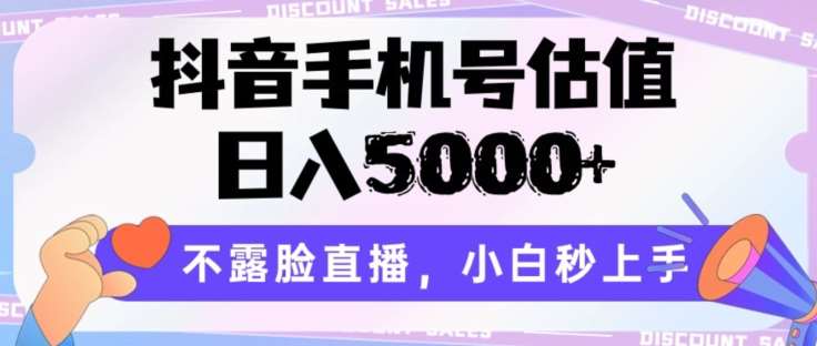 抖音手机号估值，日入5000+，不露脸直播，小白秒上手【揭秘】-问小徐资源库