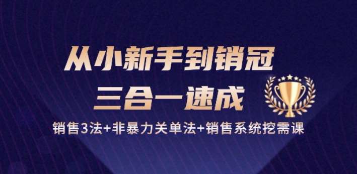 从小新手到销冠 三合一速成：销售3法+非暴力关单法+销售系统挖需课 (27节)-问小徐资源库