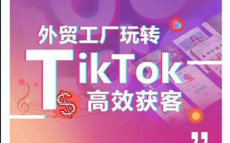 外贸工厂玩转TikTok高效获客，多种引流方式与账号定位技巧，拆解爆款短视频打造成功案例-问小徐资源库