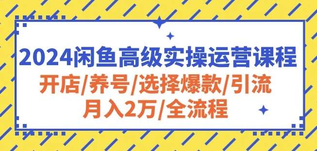 2024闲鱼高级实操运营课程：开店/养号/选择爆款/引流/月入2万/全流程-问小徐资源库