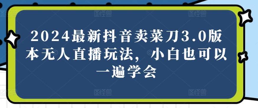 2024最新抖音卖菜刀3.0版本无人直播玩法，小白也可以一遍学会【揭秘】-问小徐资源库