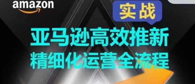 亚马逊高效推新精细化运营全流程，全方位、快速拉升产品排名和销量!-问小徐资源库