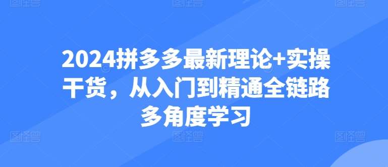 2024拼多多最新理论+实操干货，从入门到精通全链路多角度学习-问小徐资源库