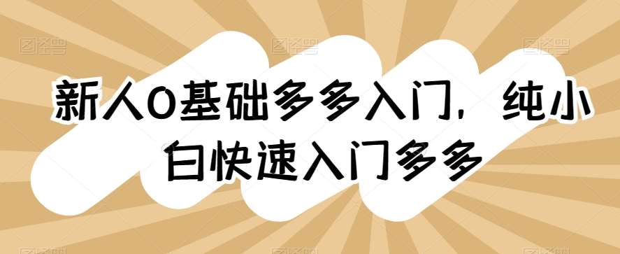 新人0基础多多入门，​纯小白快速入门多多-问小徐资源库