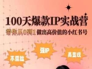 小红书100天爆款IP实战营，带你从0到1做出高价值的小红书号-问小徐资源库