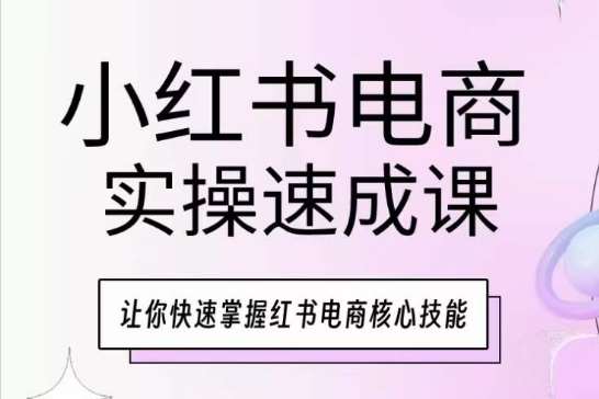 小红书电商实操速成课，让你快速掌握红书电商核心技能-问小徐资源库