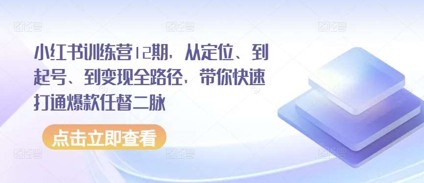 小红书训练营12期，从定位、到起号、到变现全路径，带你快速打通爆款任督二脉-问小徐资源库