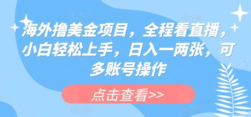 海外撸美金项目，全程看直播，小白轻松上手，日入一两张，可多账号操作【揭秘】-问小徐资源库