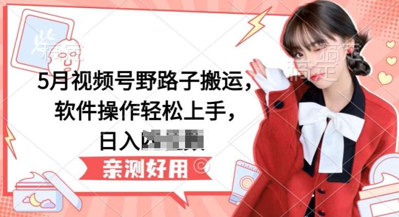5月视频号野路子搬运，软件操作轻松上手，日入三位数【揭秘】-问小徐资源库