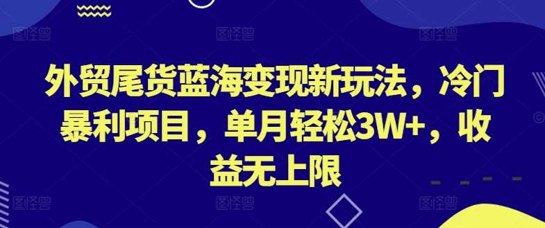 外贸尾货蓝海变现新玩法，冷门暴利项目，单月轻松3W+，收益无上限【揭秘】-问小徐资源库
