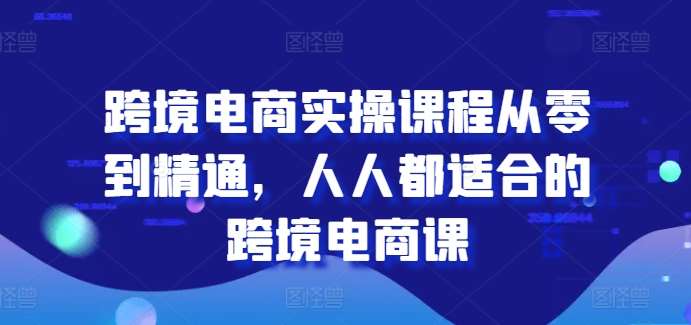 跨境电商实操课程从零到精通，人人都适合的跨境电商课-问小徐资源库