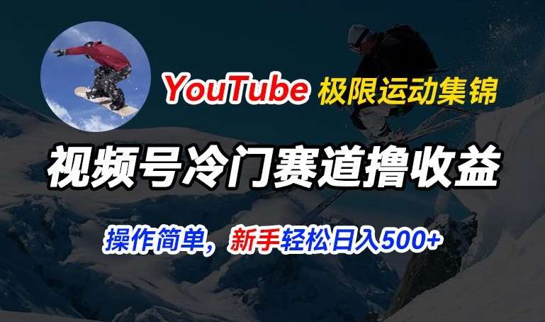 视频号冷门赛道撸收益，YouTube搬运极限运动集锦，暴力起号，操作简单流量高，轻松日入5张【揭秘】-问小徐资源库