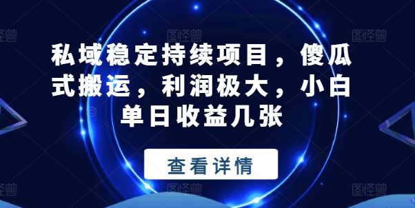 私域稳定持续项目，傻瓜式搬运，利润极大，小白单日收益几张【揭秘】-问小徐资源库