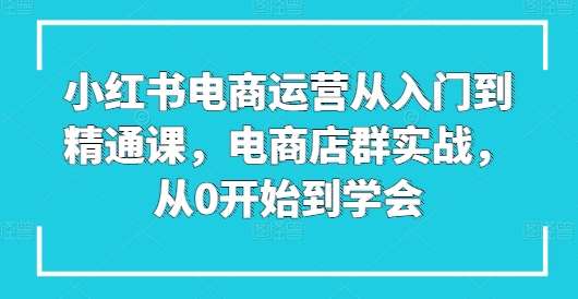 小红书电商运营从入门到精通课，电商店群实战，从0开始到学会-问小徐资源库
