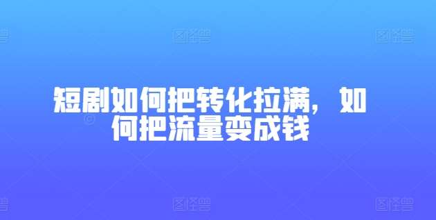 短剧如何把转化拉满，如何把流量变成钱-问小徐资源库