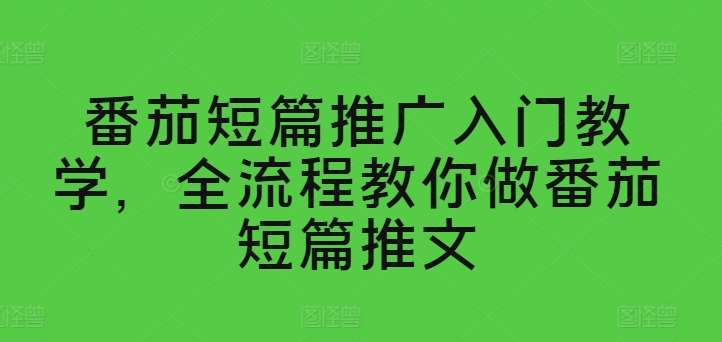 番茄短篇推广入门教学，全流程教你做番茄短篇推文-问小徐资源库