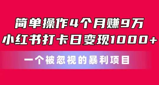简单操作4个月赚9w，小红书打卡日变现1k，一个被忽视的暴力项目【揭秘】-问小徐资源库