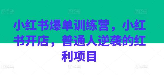 小红书爆单训练营，小红书开店，普通人逆袭的红利项目-问小徐资源库