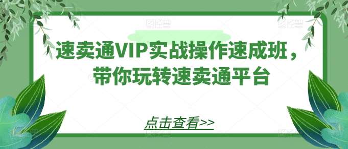 速卖通VIP实战操作速成班，带你玩转速卖通平台-问小徐资源库