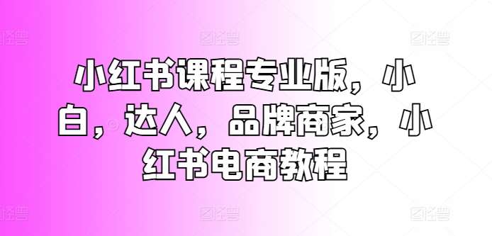 小红书课程专业版，小白，达人，品牌商家，小红书电商教程-问小徐资源库