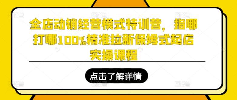 全店动销经营模式特训营，指哪打哪100%精准拉新保姆式起店实操课程-问小徐资源库